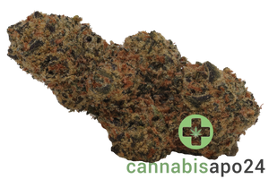 DrWatson 18 RF AUS Rainbow Fruits