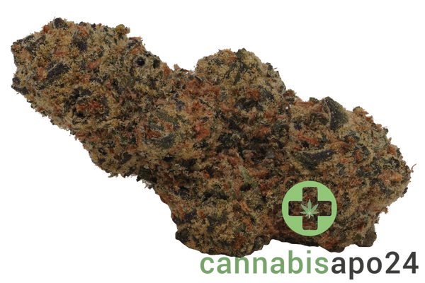 DrWatson 18 RF AUS Rainbow Fruits