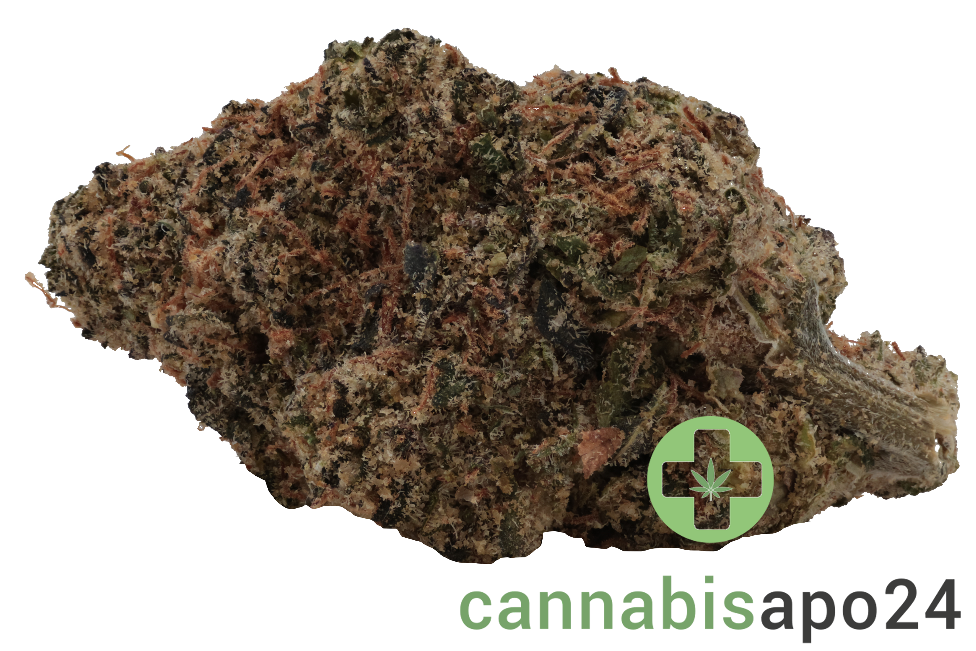 MCCN No. 3 29/1 Guava Haze