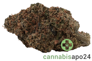 MCCN No. 3 29/1 Guava Haze