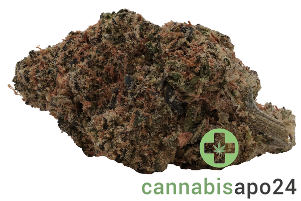 MCCN No. 3 29/1 Guava Haze