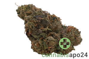 Endo Canna AB Apple Betty