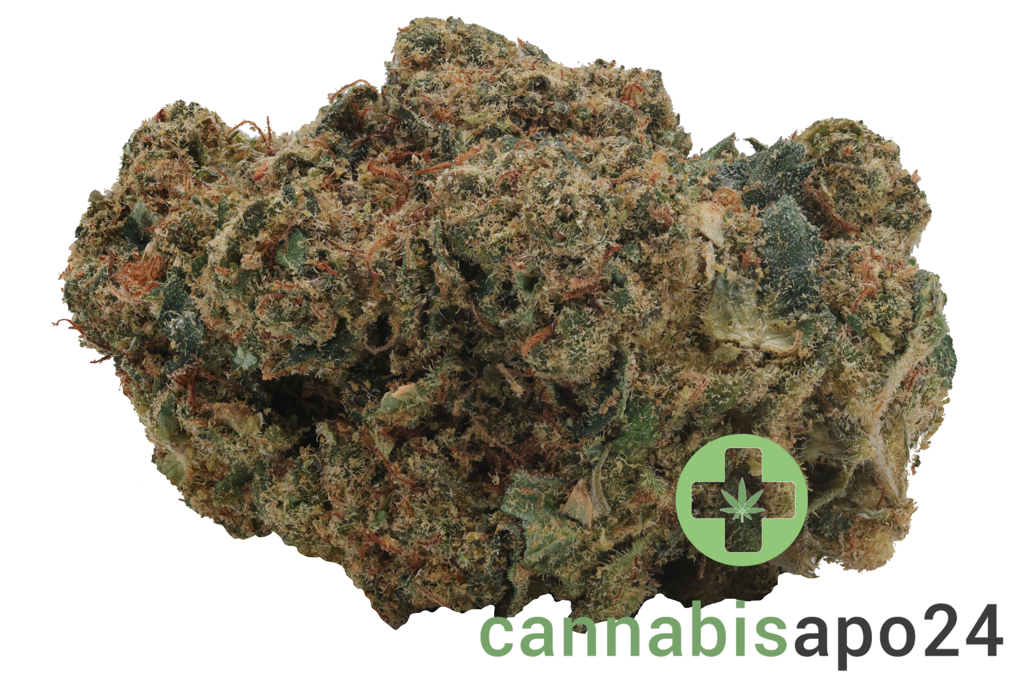 Enua 25/1  11R CA White Widow Cheese