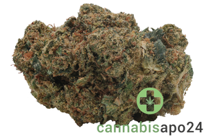 Enua 25/1  11R CA White Widow Cheese