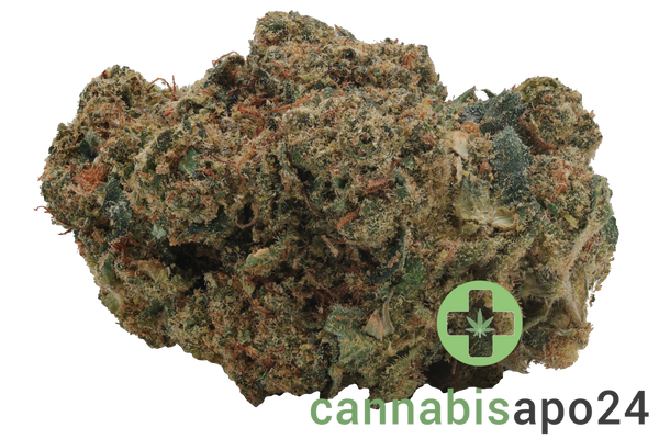Enua 25/1  11R CA White Widow Cheese