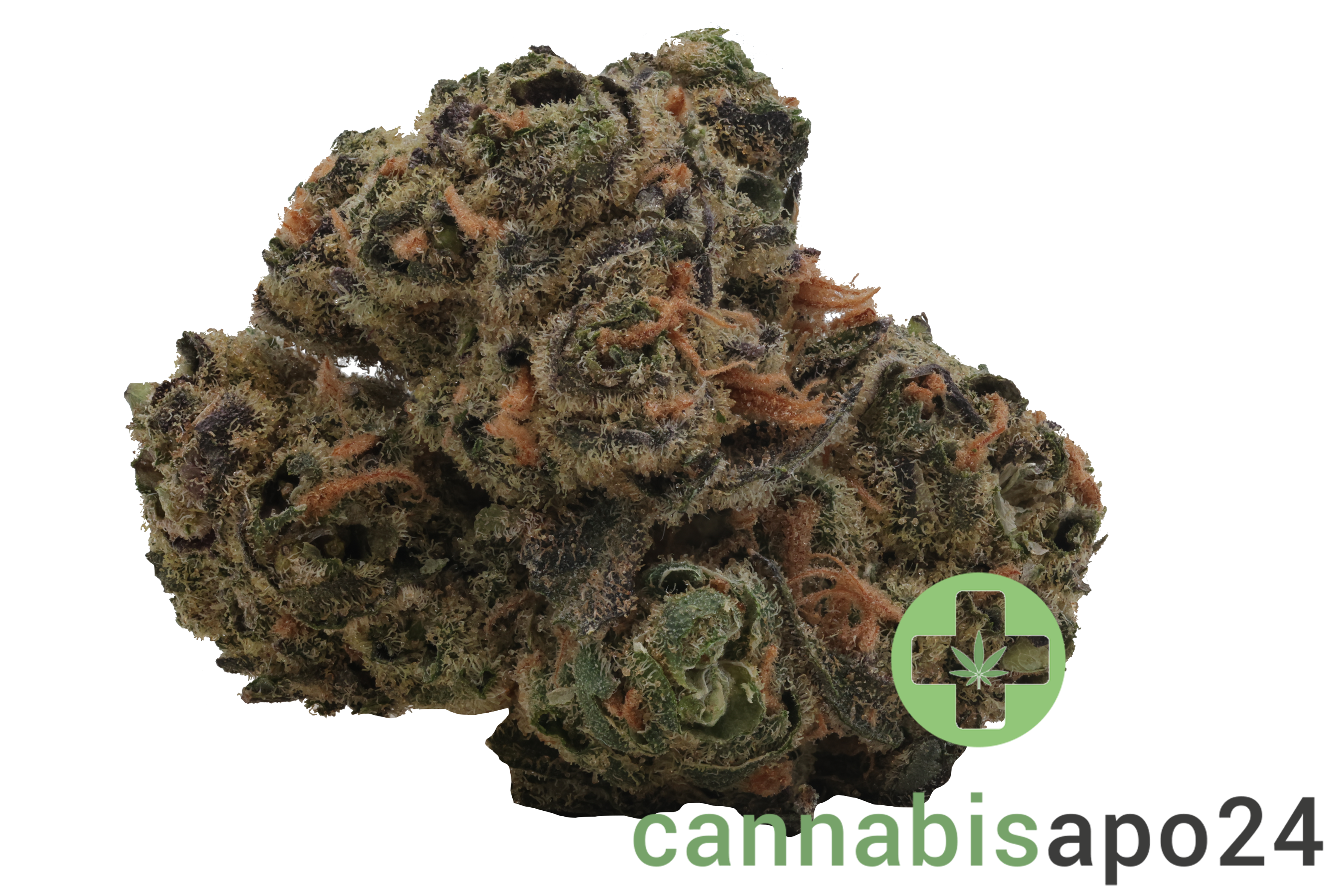 Enua 25/1 BT CA Black Truffle