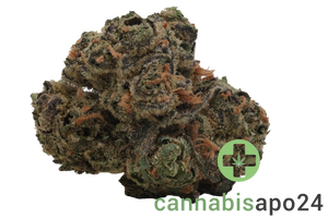 Enua 25/1 BT CA Black Truffle