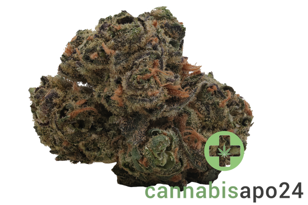 Enua 25/1 BT CA Black Truffle
