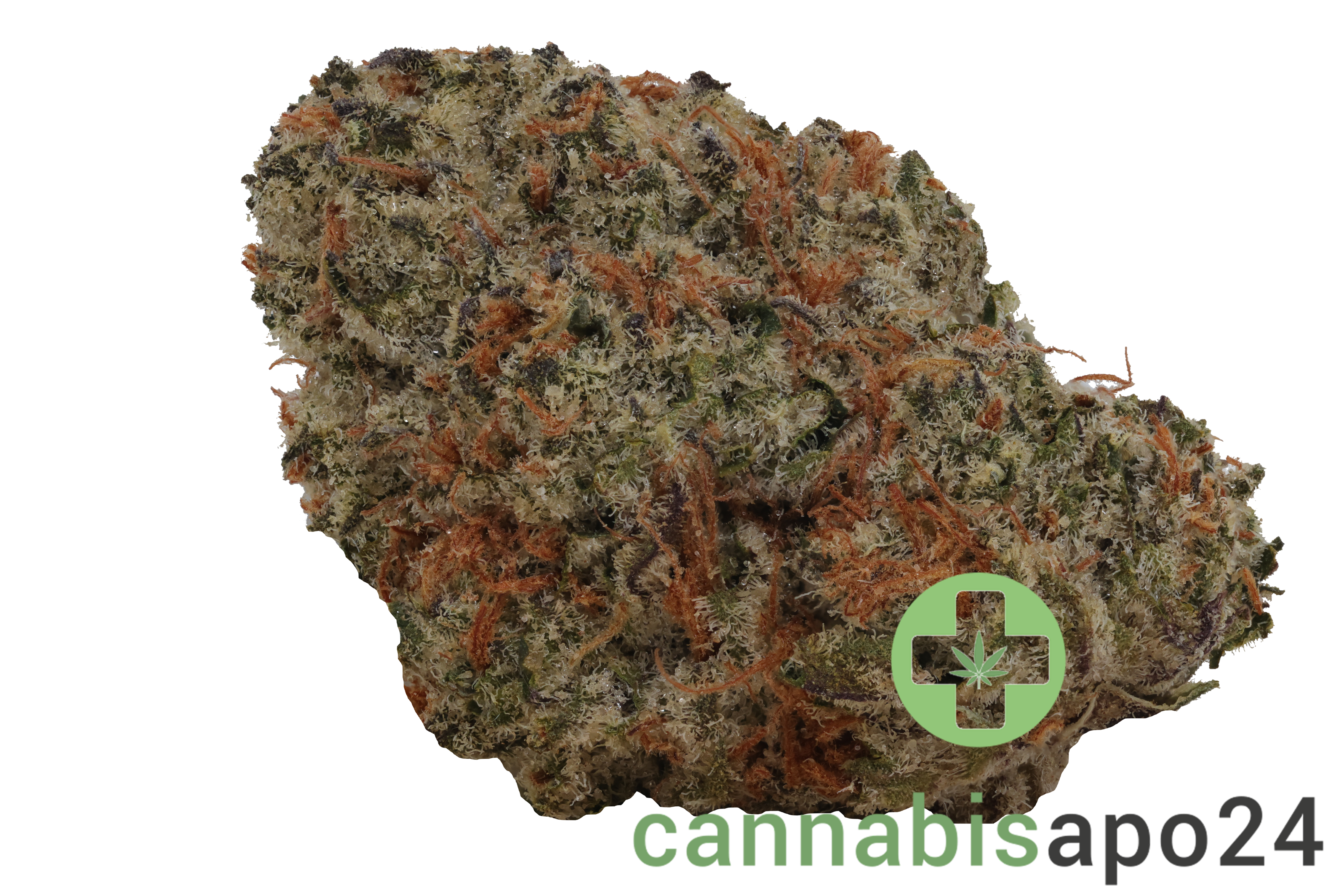 enua 25/1 CBC CA Citron Biker Cookies