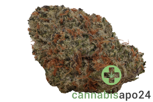 enua 25/1 CBC CA Citron Biker Cookies