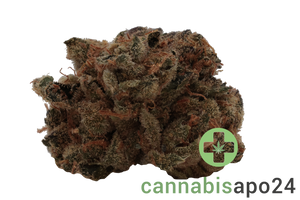 Enua 25/1 GMO CA Koko's Cookies