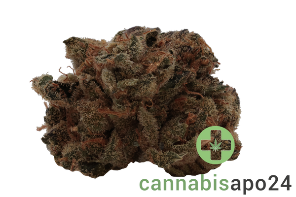 Enua 25/1 GMO CA Koko's Cookies