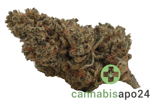 Enua 25/1 JFG CA Jet Fuel Gelato