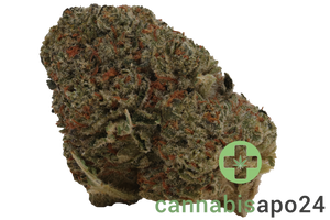 enua 25/1 JFK CA Jet Fuel Kush