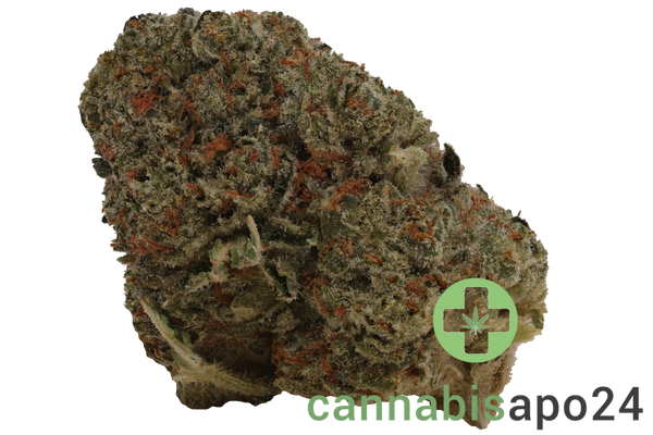 enua 25/1 JFK CA Jet Fuel Kush