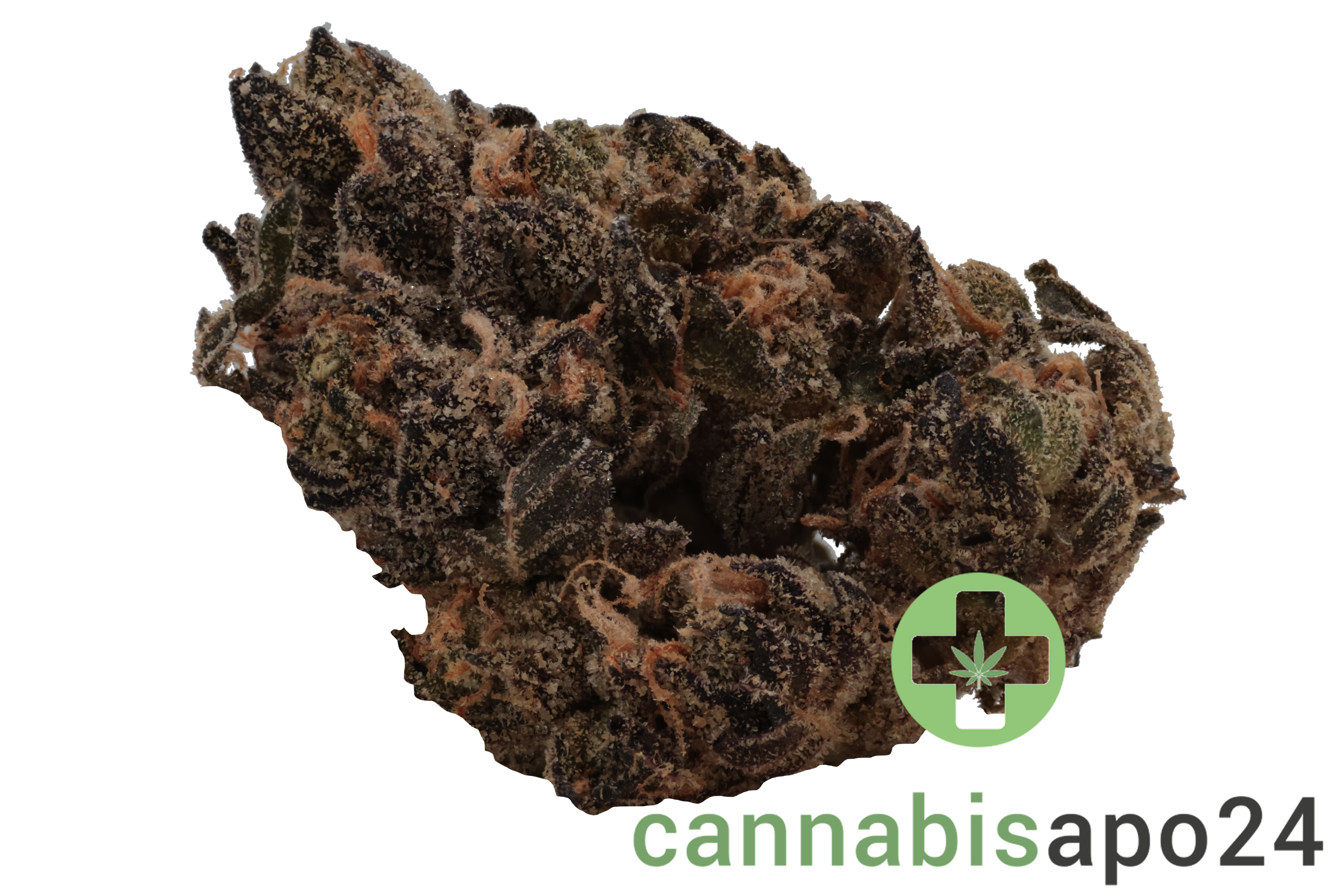 Enua 27/1 AAB CA Blue Gelatti