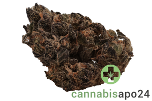 Enua 27/1 AAB CA Blue Gelatti