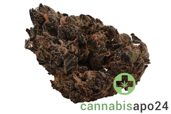 Enua 27/1 AAB CA Blue Gelatti