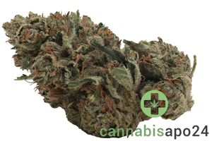 Enua 27/1 PS3 CA Pink Kush