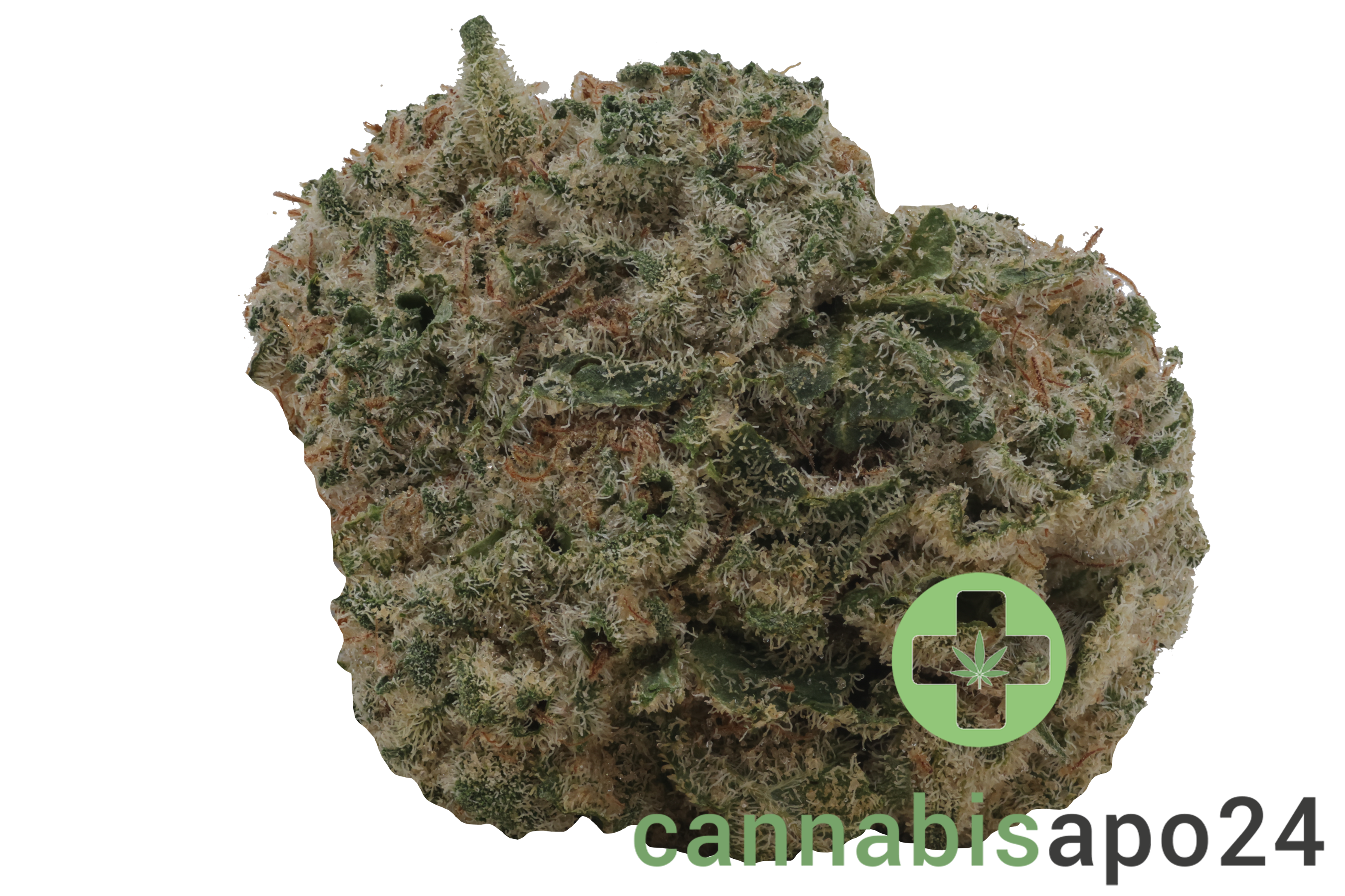 enua 27/1 PSZ CA Zainbow