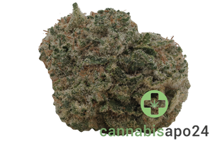 enua 27/1 PSZ CA Zainbow