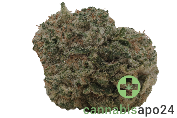 enua 27/1 PSZ CA Zainbow