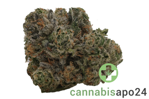 Enua 27/1 SBD CA Strawberry Diesel