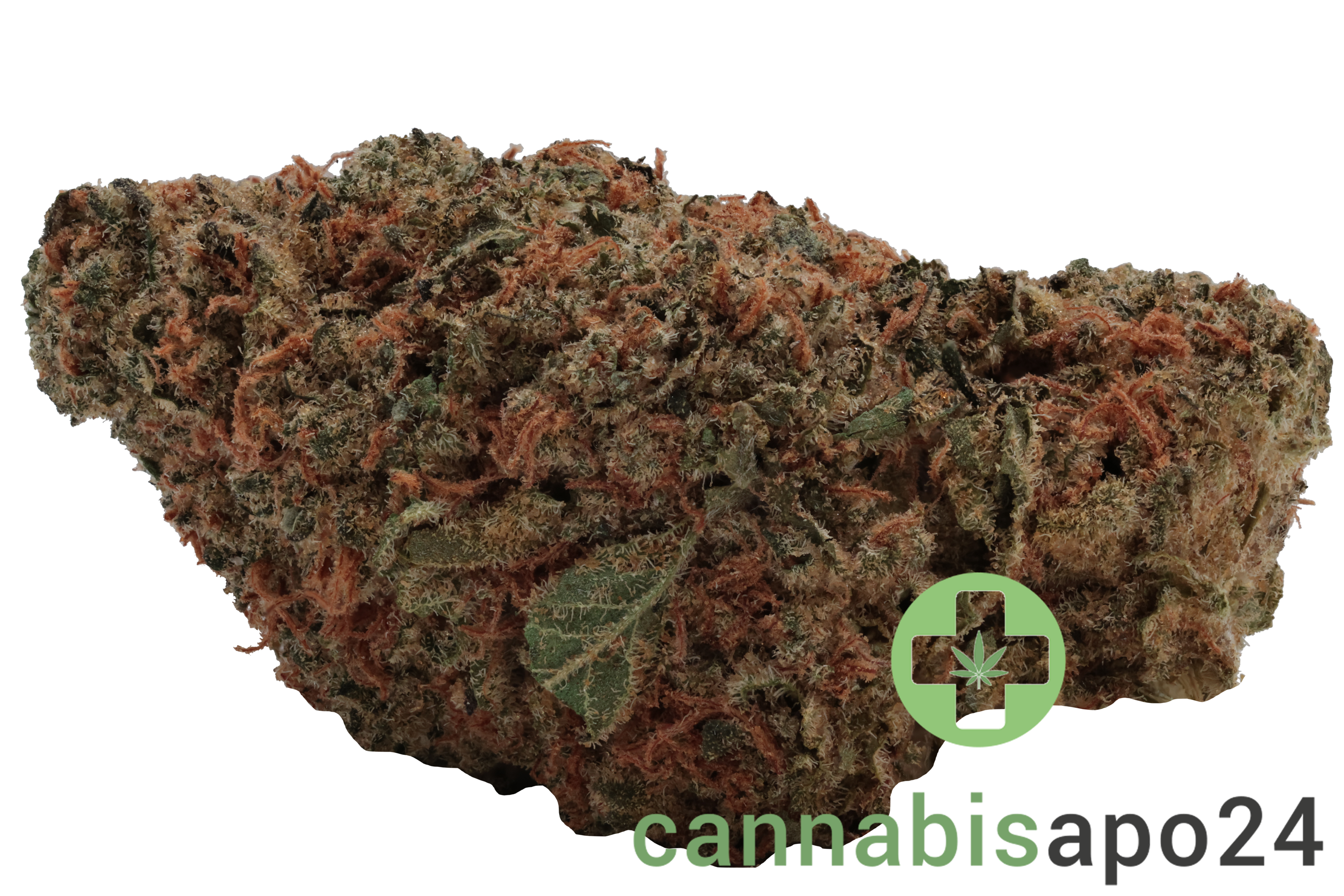 Enua 30/1 CCK GBZ CA Guava Barz