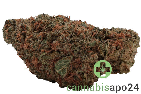 Enua 30/1 CCK GBZ CA Guava Barz