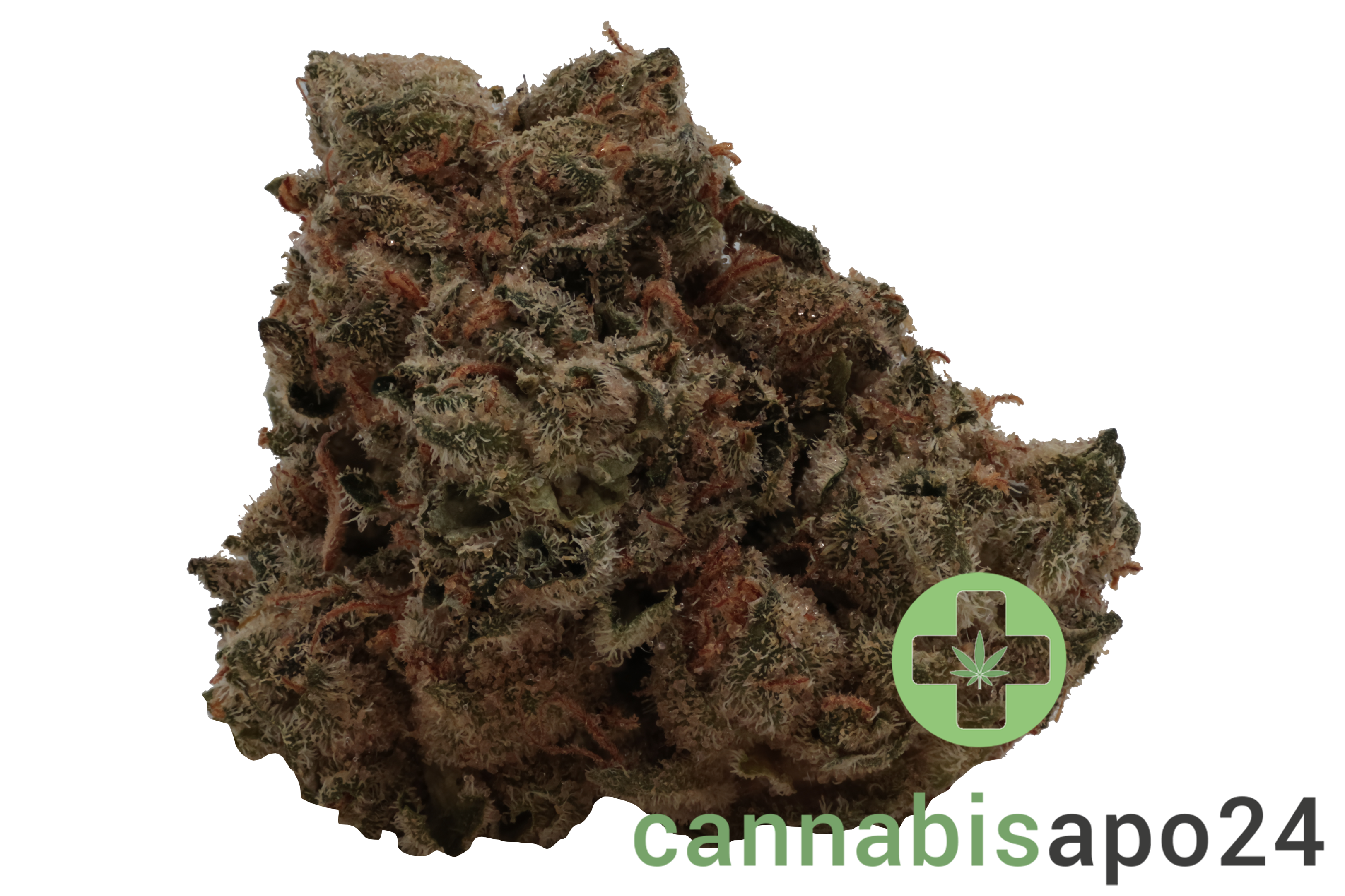 Enua 30/1 CDC CA Chem de la Chem