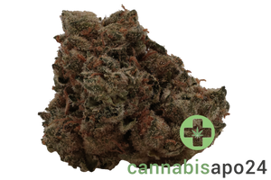 Enua 30/1 CDC CA Chem de la Chem