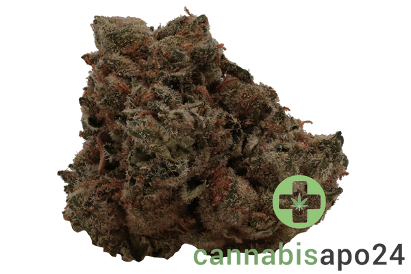 Enua 30/1 CDC CA Chem de la Chem