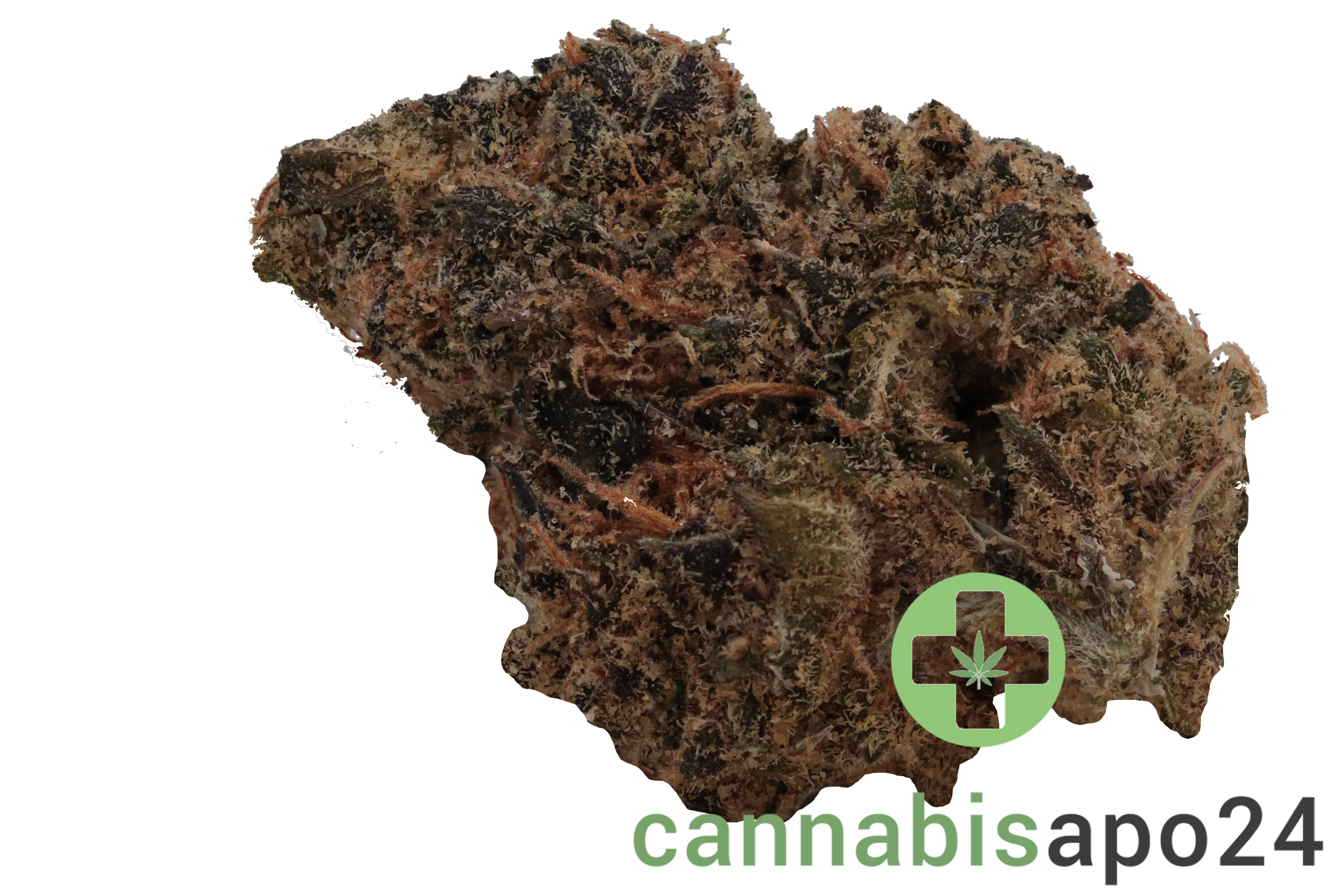 Enua 30/1 EJZ CA - El Jefe Zoap