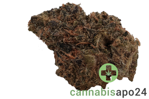 Enua 30/1 EJZ CA - El Jefe Zoap