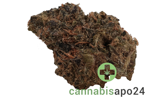 Enua 30/1 EJZ CA - El Jefe Zoap