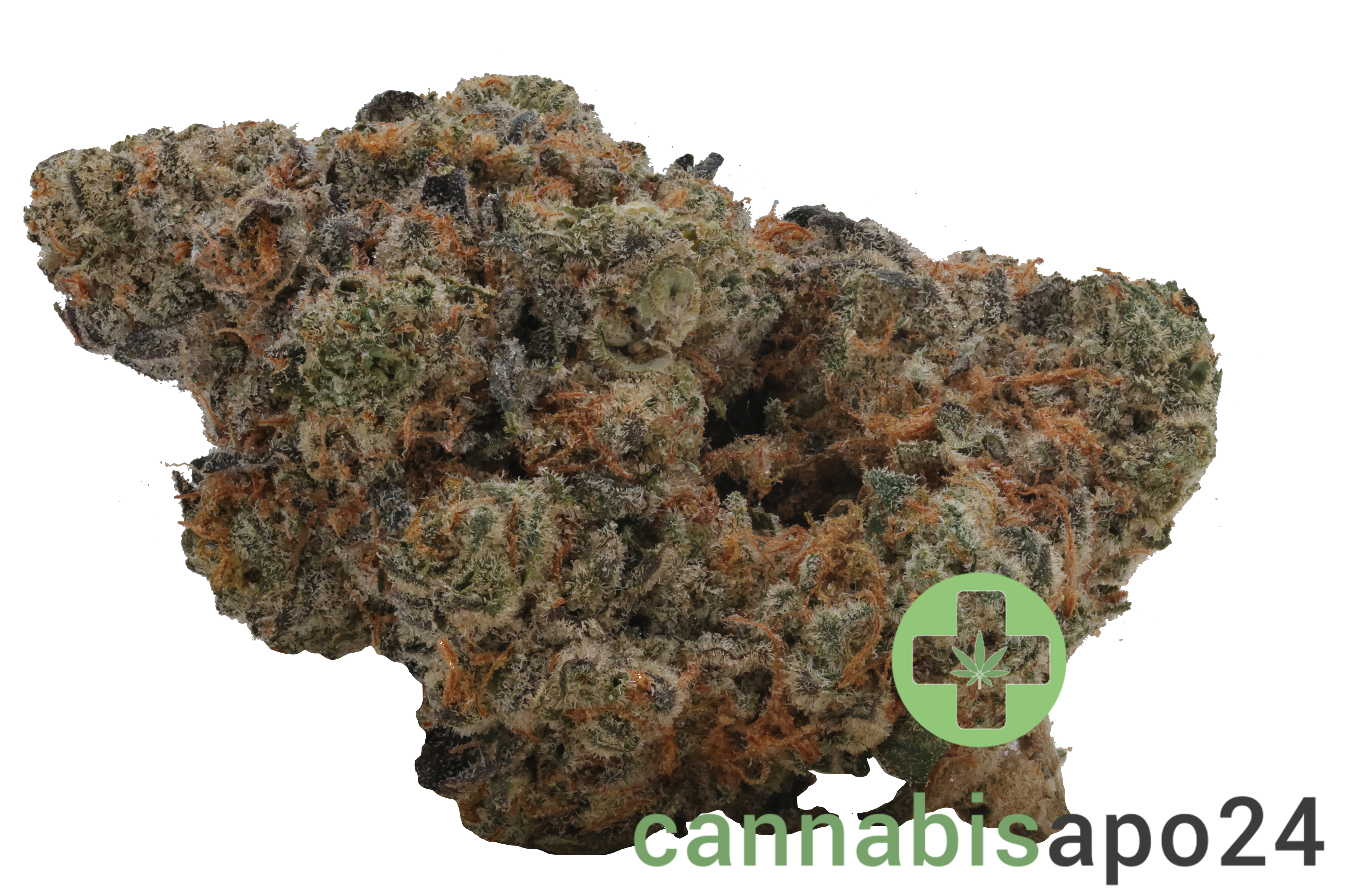 Enua 30/1 GKM CA Gelatti Kush Mints