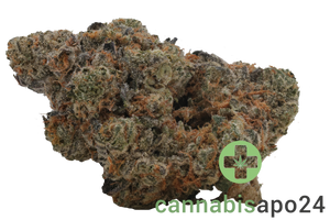 Enua 30/1 GKM CA Gelatti Kush Mints