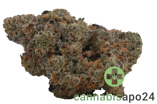 Enua 30/1 GKM CA Gelatti Kush Mints