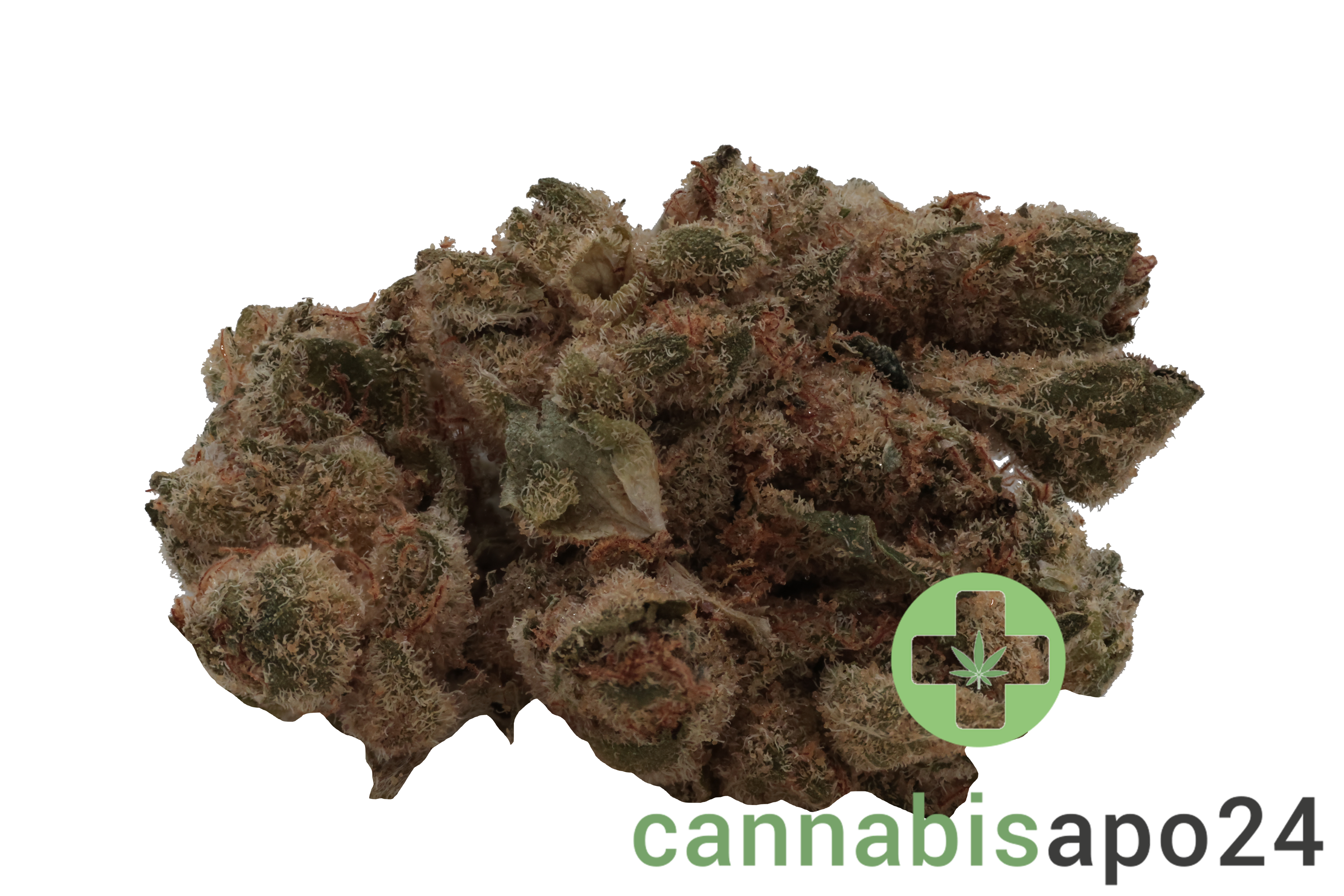 Enua 30/1 GMO CA Koko's Cookies