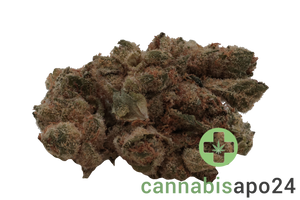 Enua 30/1 GMO CA Koko's Cookies