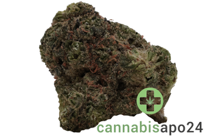 Enua 30/1 JGF CA Jungle Fumes