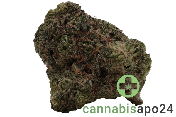 Enua 30/1 JGF CA Jungle Fumes