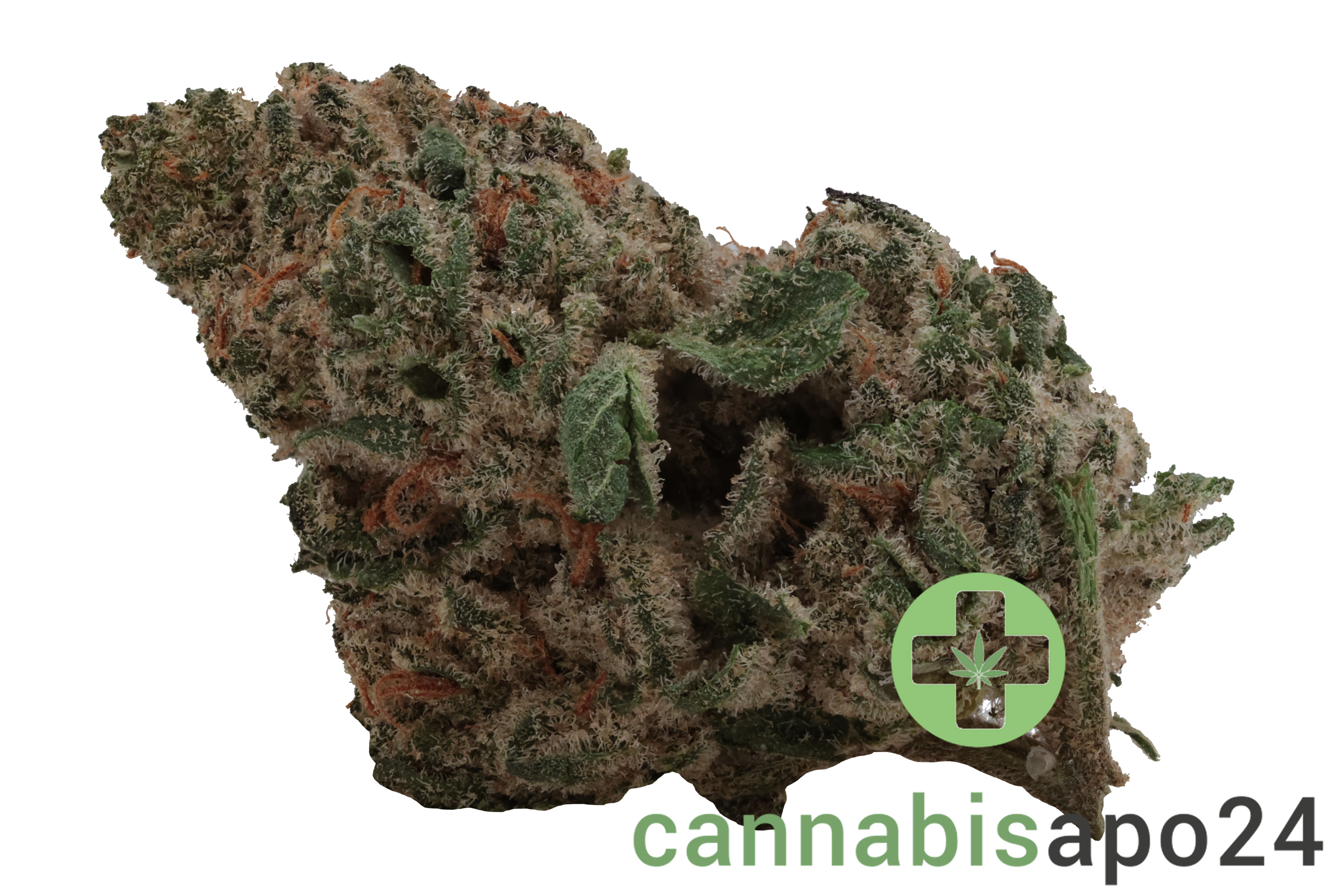 Enua 30/1 MMN CA Marshmallow Man