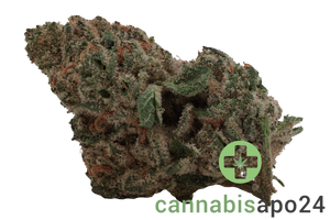 Enua 30/1 MMN CA Marshmallow Man