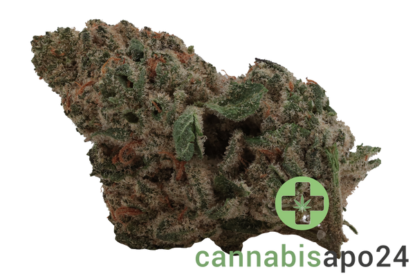 Enua 30/1 MMN CA Marshmallow Man