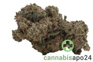 Enua 30/1 SF4 CA BBK Bubba Kush