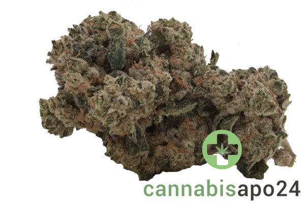 Enua 30/1 SF4 CA BBK Bubba Kush