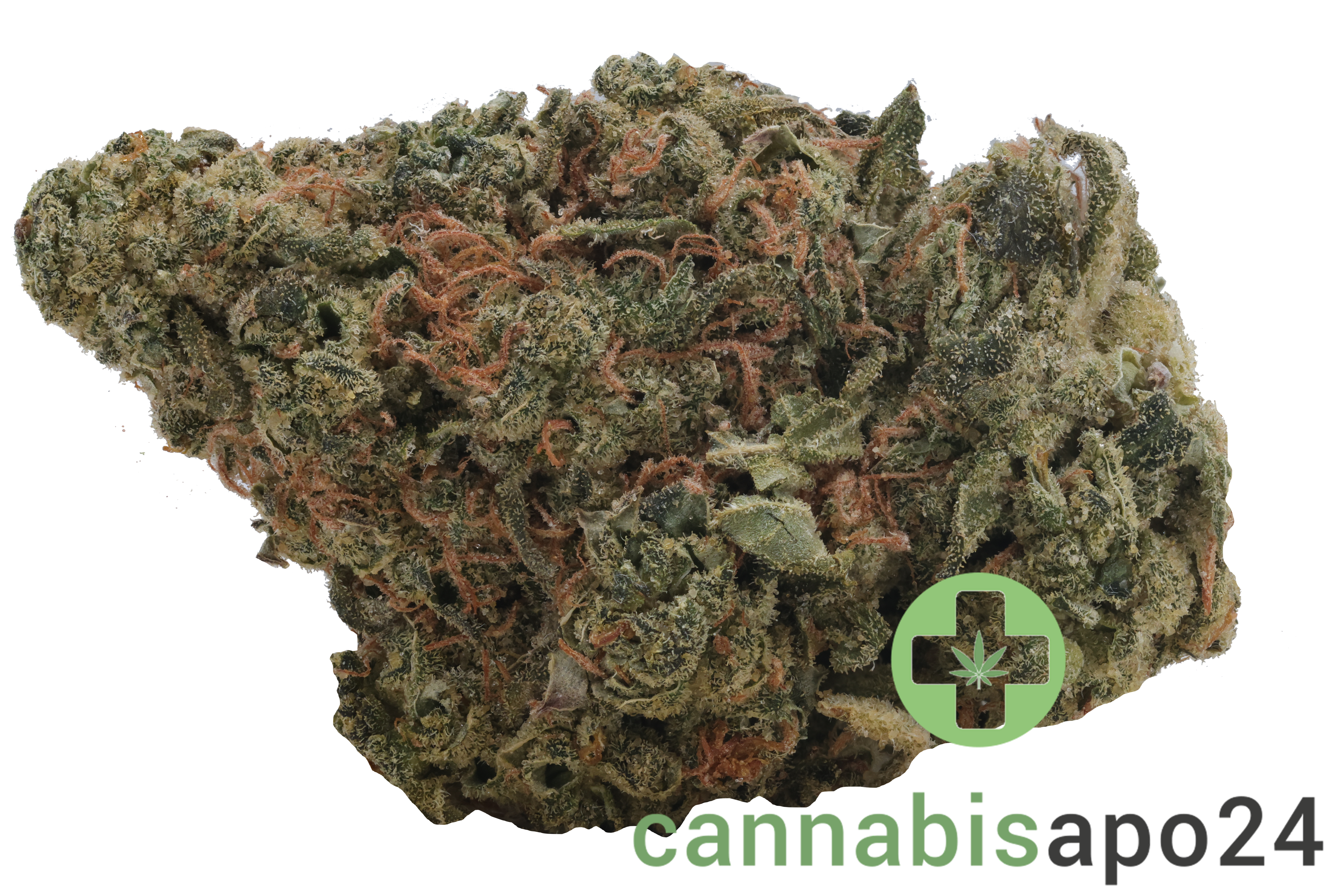 Enua 33/1 LHZ CA Lemonade Haze