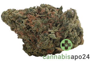 Enua 33/1 LHZ CA Lemonade Haze