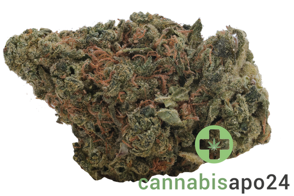 Enua 33/1 LHZ CA Lemonade Haze
